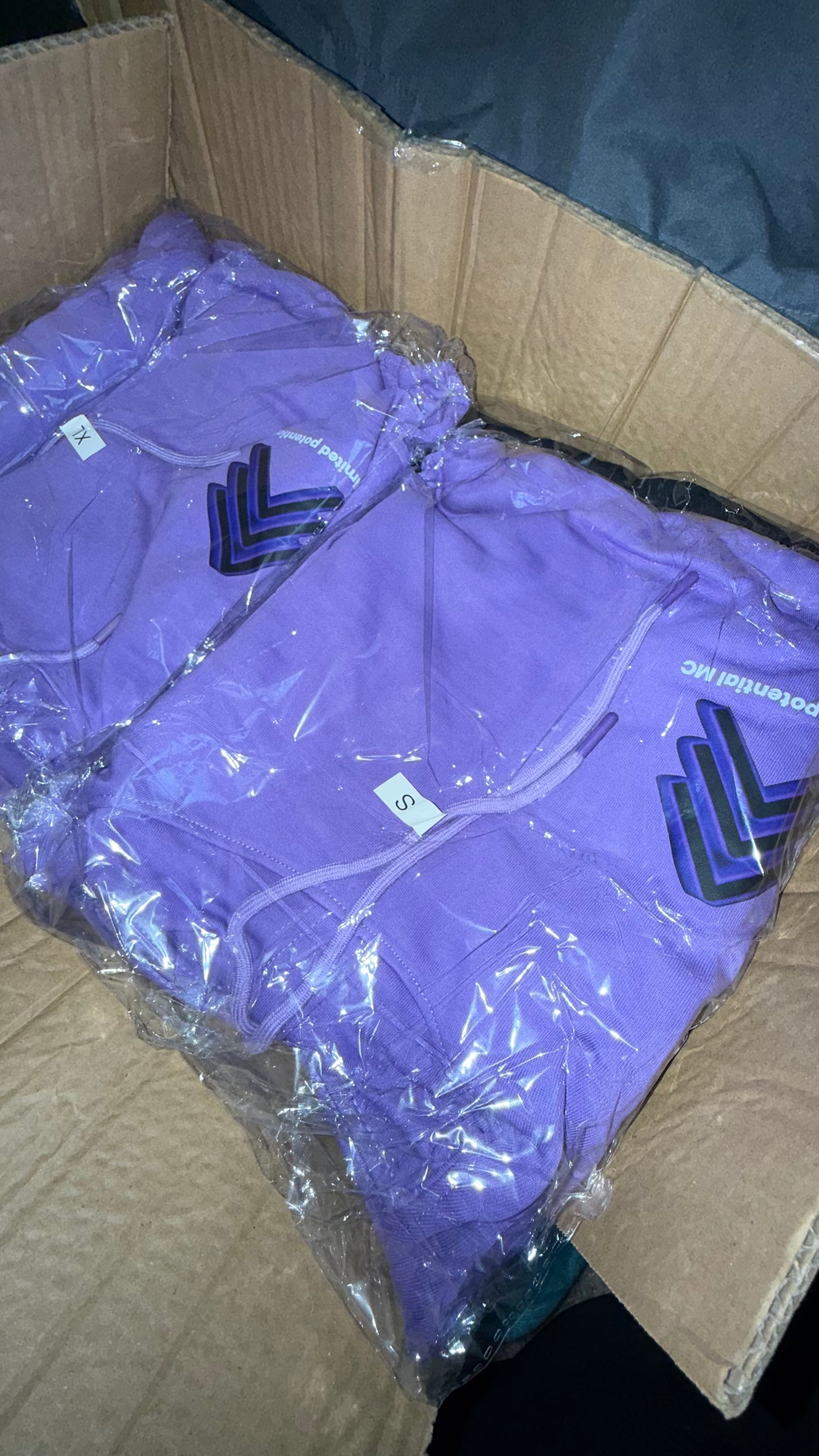 Unlimited Potential Mc™ – Global Takeover Hoodie (Unisex Edition)
